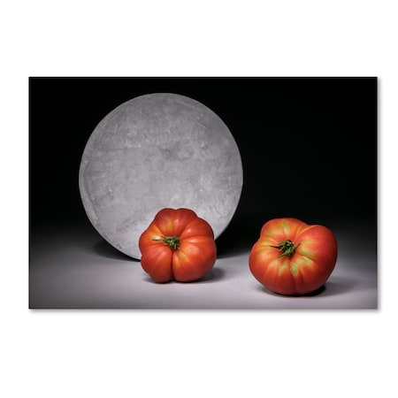 Christophe Verot 'Full Moon' Canvas Art,16x24